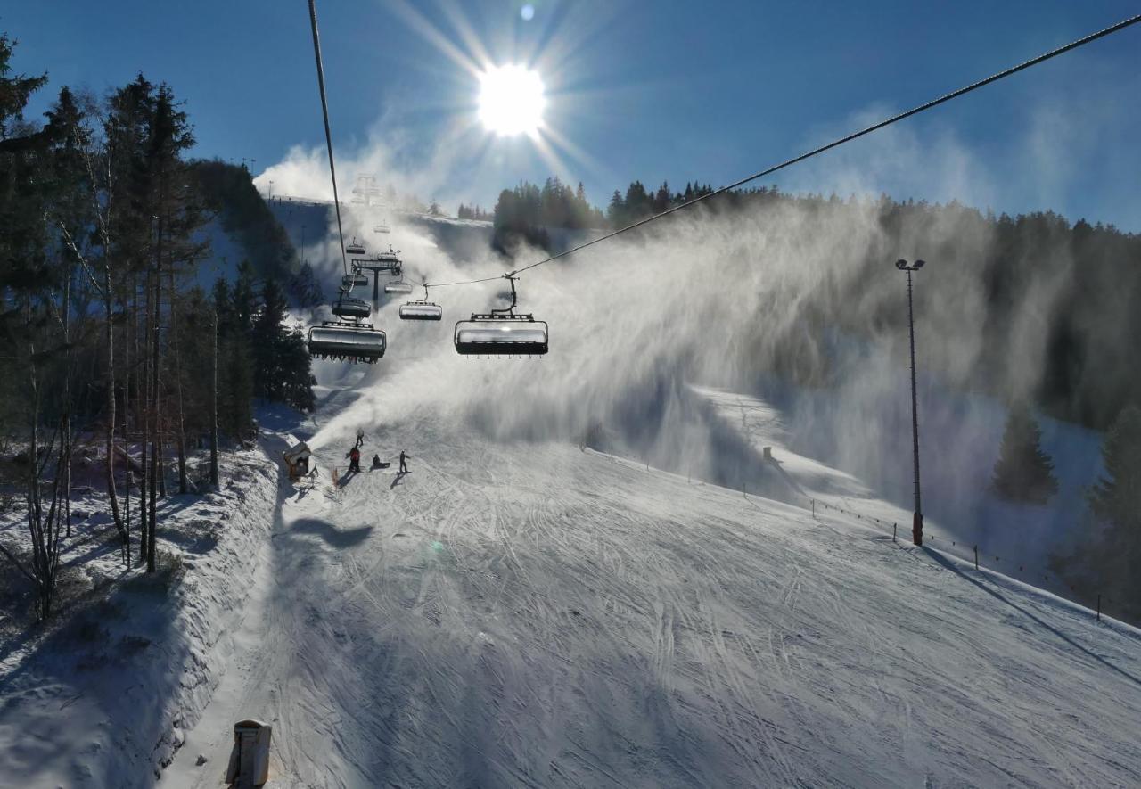 Quartier12 "Ski In & Bike Out" - Fewo Berg Willingen  Extérieur photo